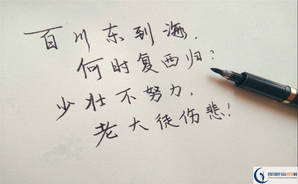2024年瀘州市瀘化中學網(wǎng)址是什么？