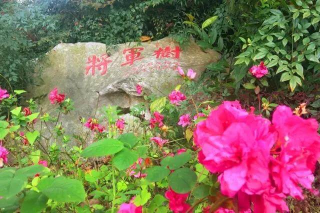四川省遂寧中學(xué)外國語實驗學(xué)校校園風(fēng)采