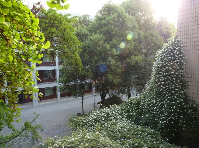 石室聯(lián)合中學(xué)蜀華分校怎么樣？