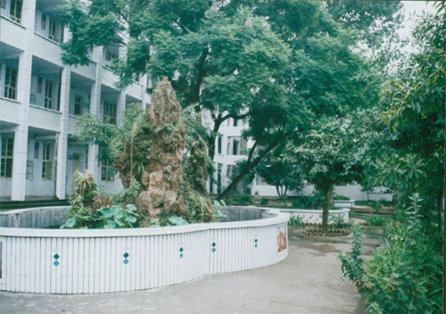 內(nèi)江十三中地址在哪？