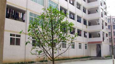 威遠(yuǎn)自強中學(xué)是民辦還是公辦學(xué)校？