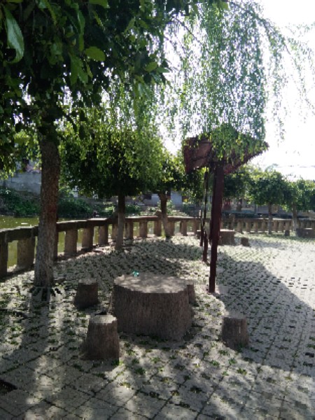 資中縣太平中學(xué)師資力量與時俱進(jìn)