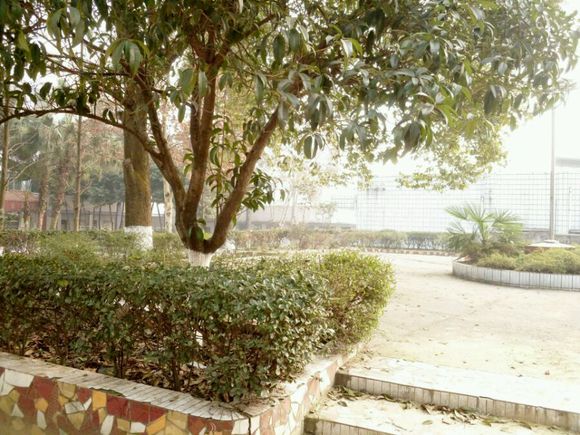 隆昌六中現(xiàn)在有沒有高中?。?/></span></p><p id=