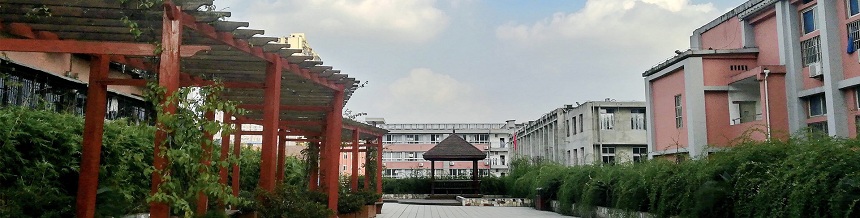 成都市通錦中學(xué)2019年中考分?jǐn)?shù)線是多少？