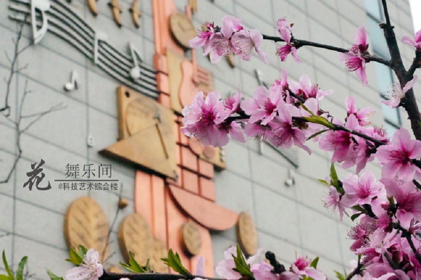 石室天府中學(xué)環(huán)境好不好、怎么樣？