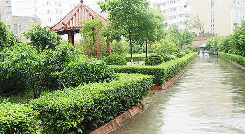 華興中學(xué)環(huán)境好不好？
