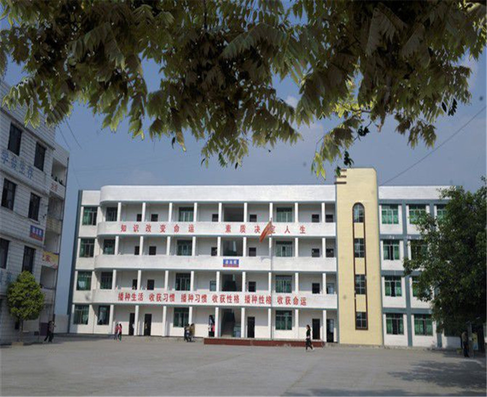 臨巴中學(xué)的詳細(xì)地址在什么地方？