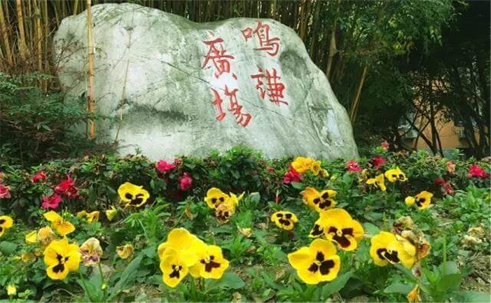 遂寧中學(xué)外國(guó)語(yǔ)實(shí)驗(yàn)學(xué)校的招生電話(huà)是多少？