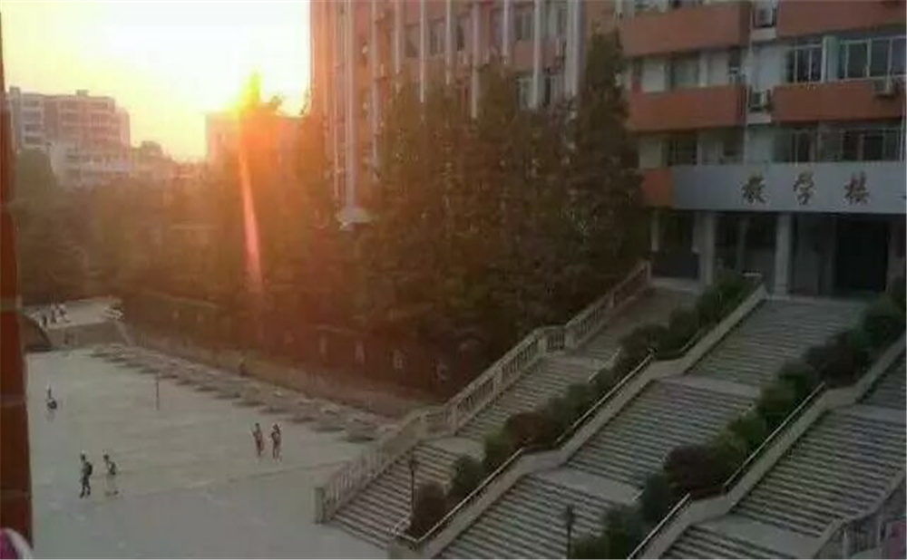 南充十一中學(xué)校招辦電話是多少？