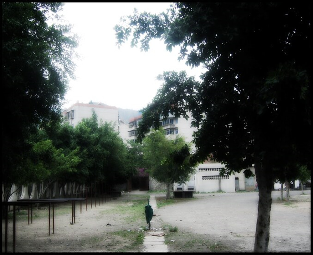 攀枝花市延邊縣中學校招辦電話是多少？
