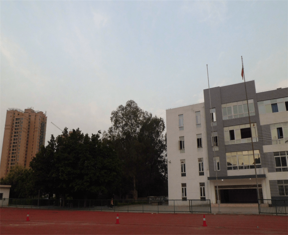 四川省攀枝花市第九中學(xué)校招辦電話是多少？