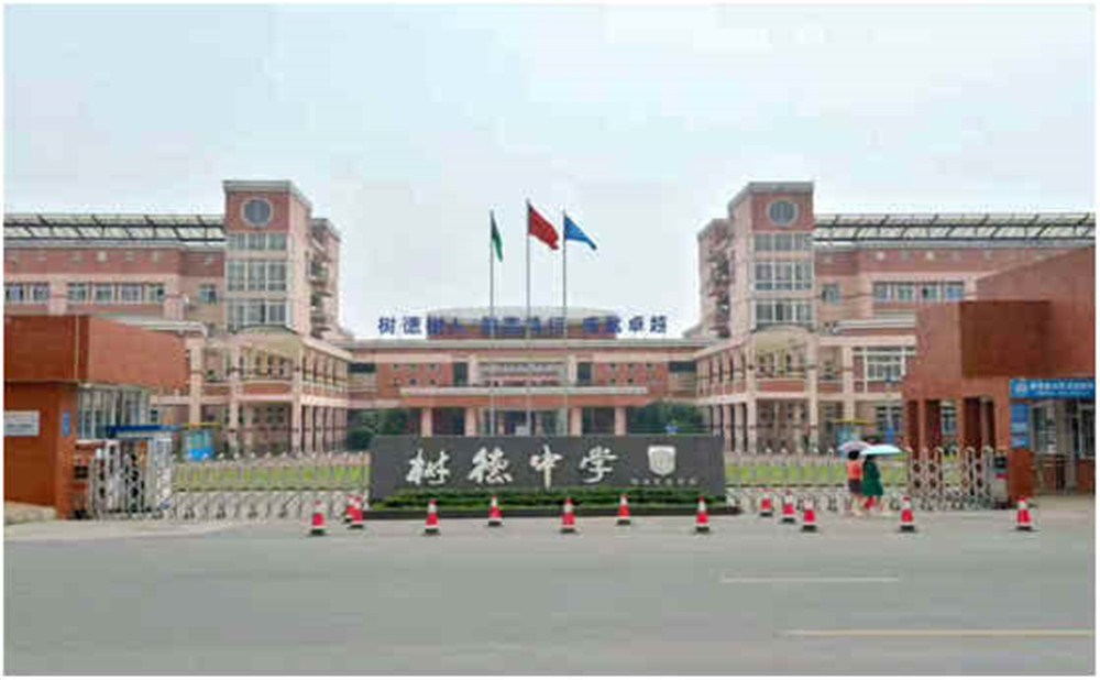 樹德博瑞實驗學校2020年的招生計劃是多少？