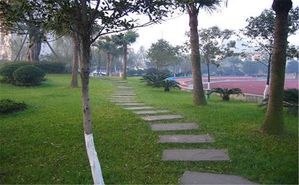 成都石室佳興外國語學(xué)校外招生一年的學(xué)費(fèi)是多少錢？