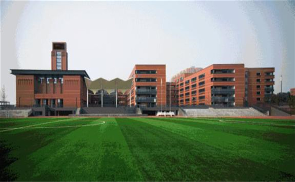 成都實外新都五龍山學(xué)校的高考升學(xué)率是多少？