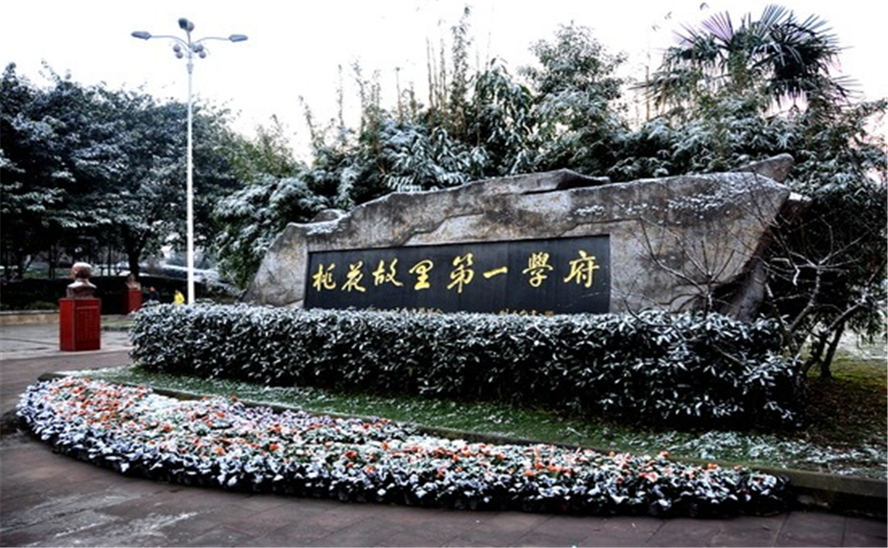 成都市龍泉中學(xué)的高考升學(xué)率是多少？