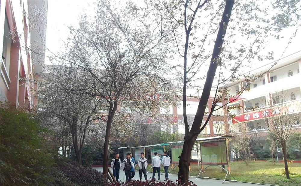 崇慶中學的去年錄取分數(shù)線是多少分？