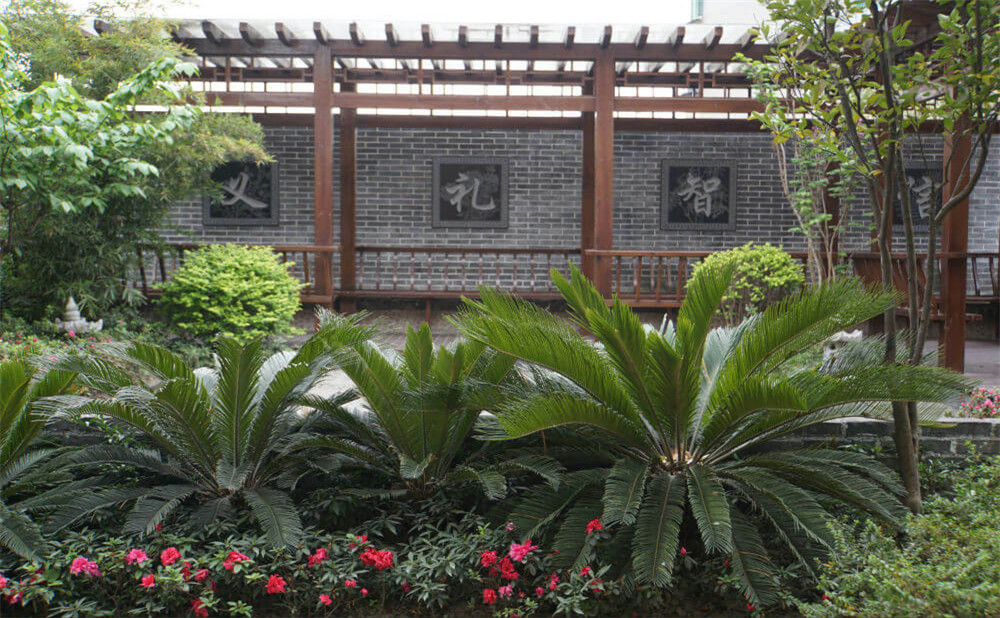 成都八中的升學(xué)率是多少？