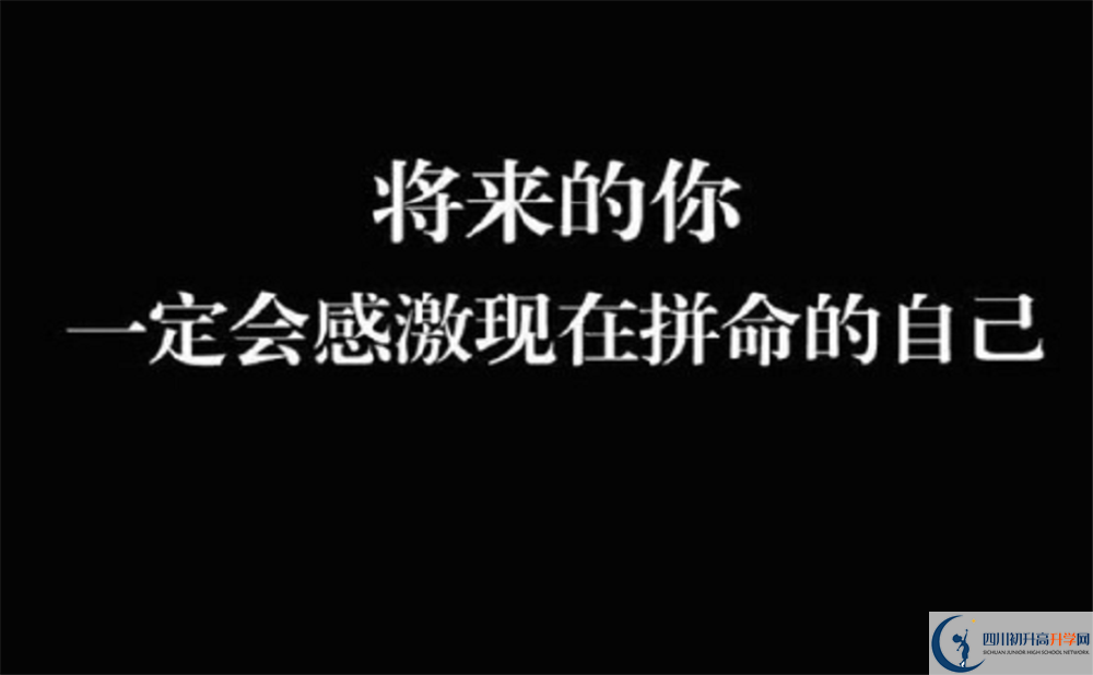 金牛中學(xué)的學(xué)費收費標準是多少？