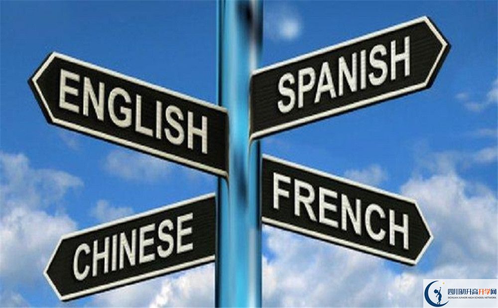成都石室外國語學校的學費收費標準是多少？