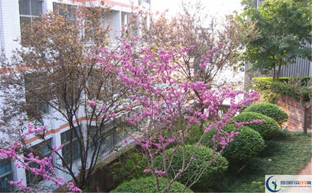 三星中學(xué)初升高的分?jǐn)?shù)線是多少？