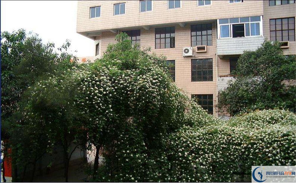 石室聯(lián)合中學(xué)蜀華分校一學(xué)期的學(xué)費是多少？