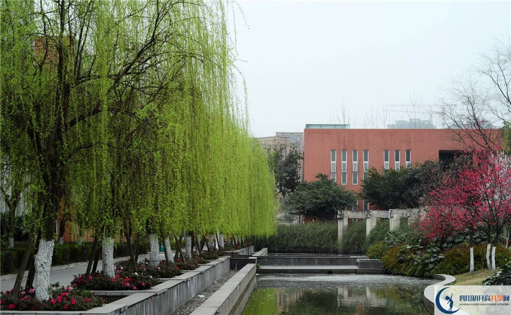 上香城中學(xué)的分?jǐn)?shù)線是多少？