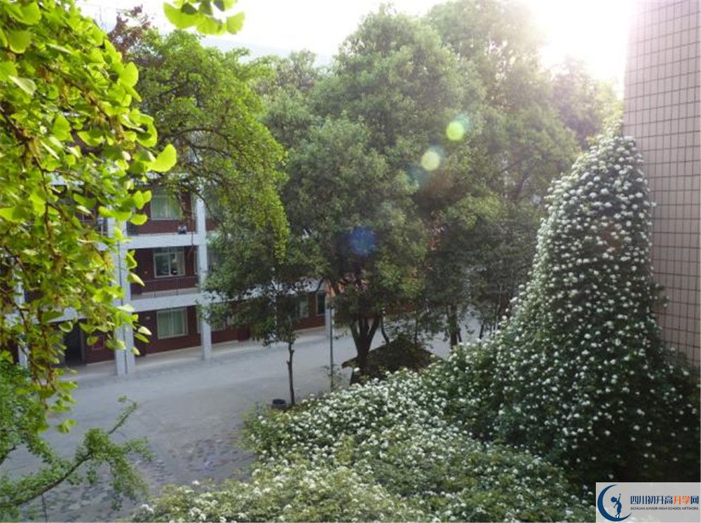 近幾年成都市石室聯中蜀華分校高中錄取的分數線是多少?