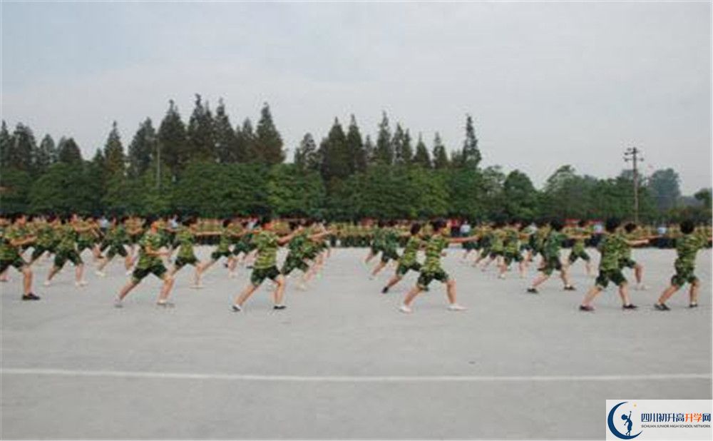 香城中學(xué)高一分班嗎？