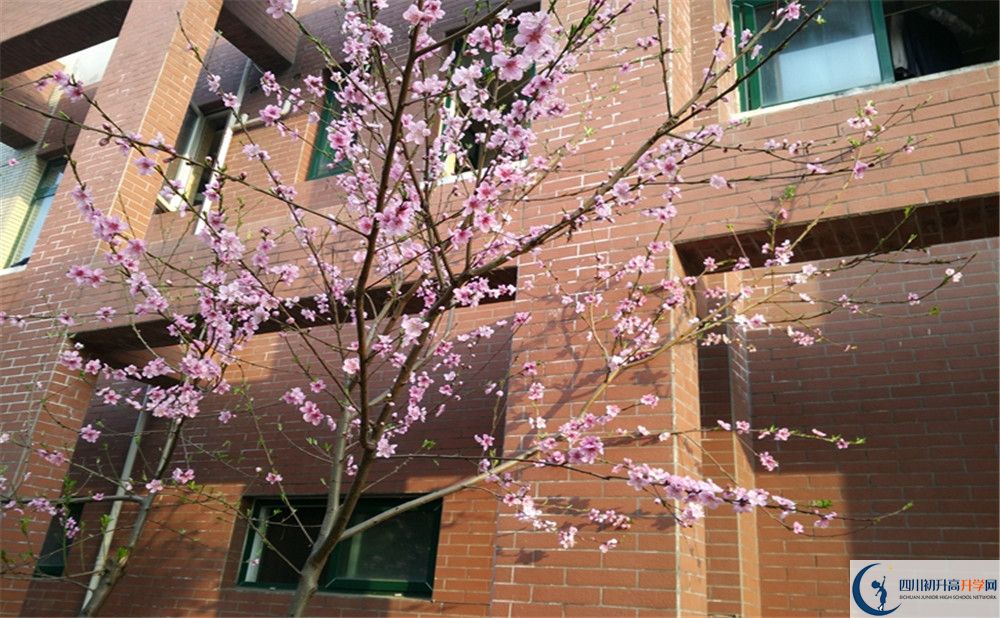 都江堰育才學校2020清華北大錄取學生多少？