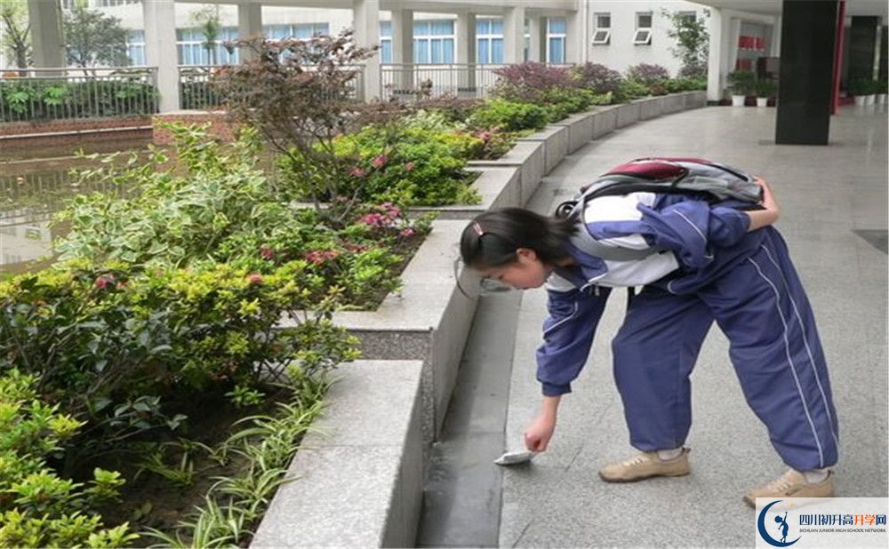成都市龍泉中學(xué)初升高向外地招生嗎？