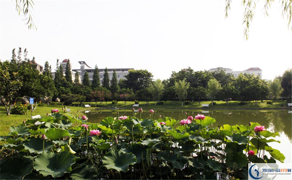 石橋中學(xué)地址怎么走？