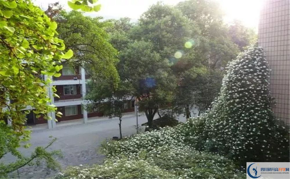 成都市石室聯(lián)中蜀華分校2020年保送清華北大的人數(shù)是多少？