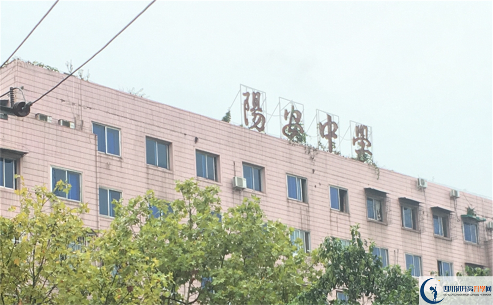 陽安中學(xué)初升高難不難？