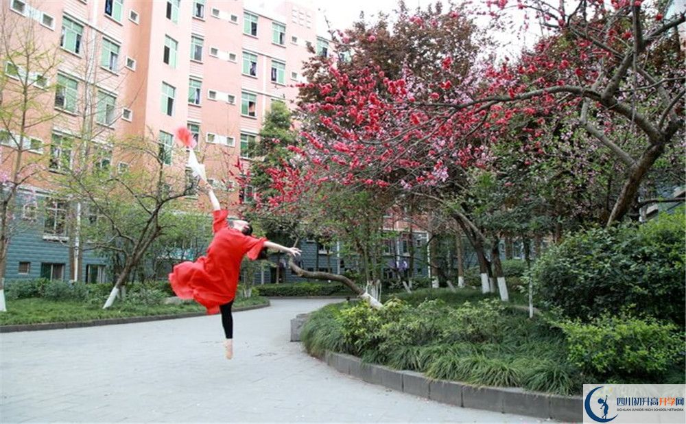 簡陽中學(xué)2020年保送清華北大的人數(shù)是多少？