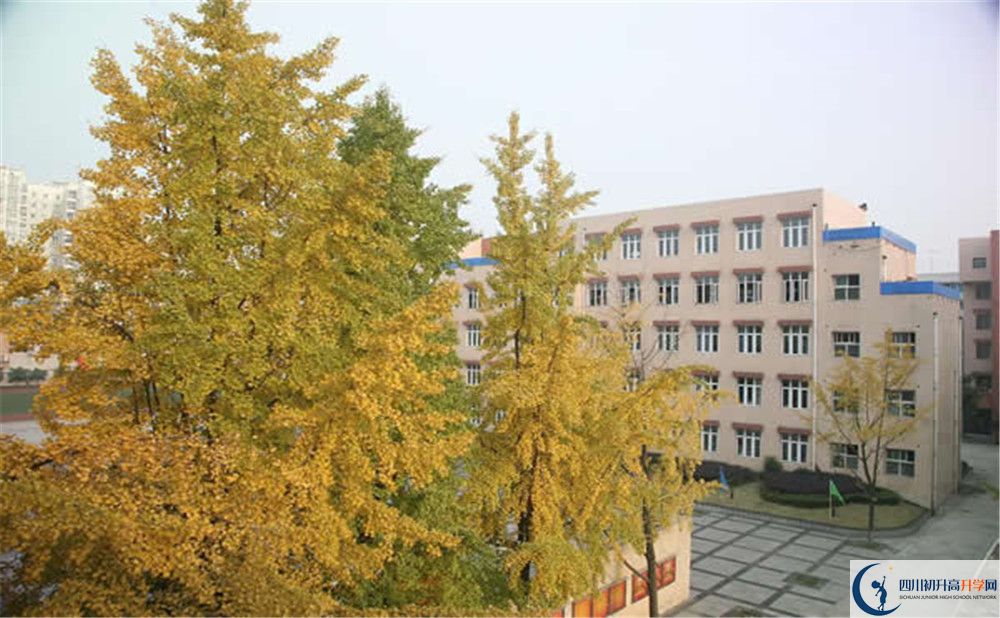 成都西藏中學是私立還是公立學校？
