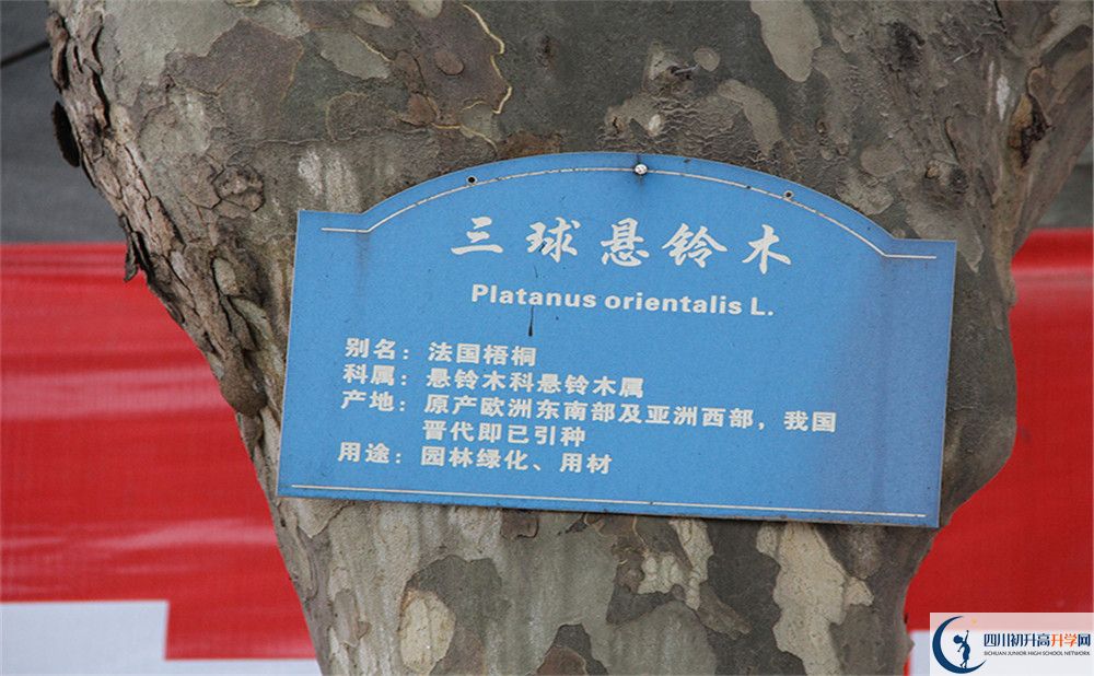 2020成都市第四十九中學(xué)高考重點(diǎn)大學(xué)升學(xué)率高嗎？