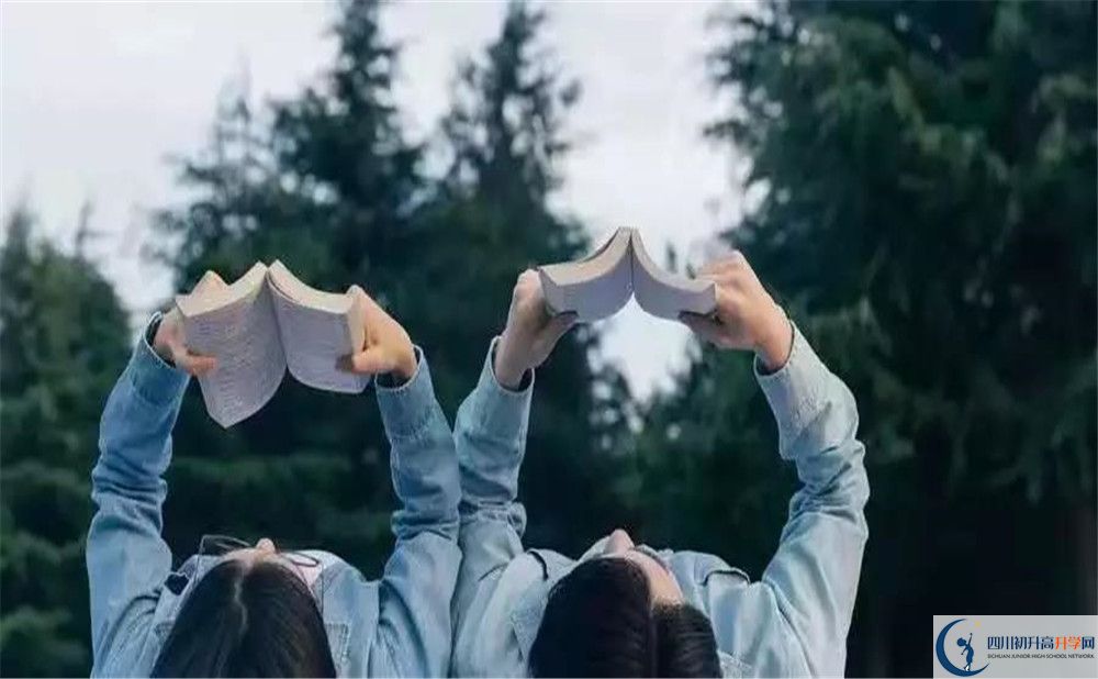 2020樹德博瑞實(shí)驗(yàn)學(xué)校初升高分班考試題難不難？			