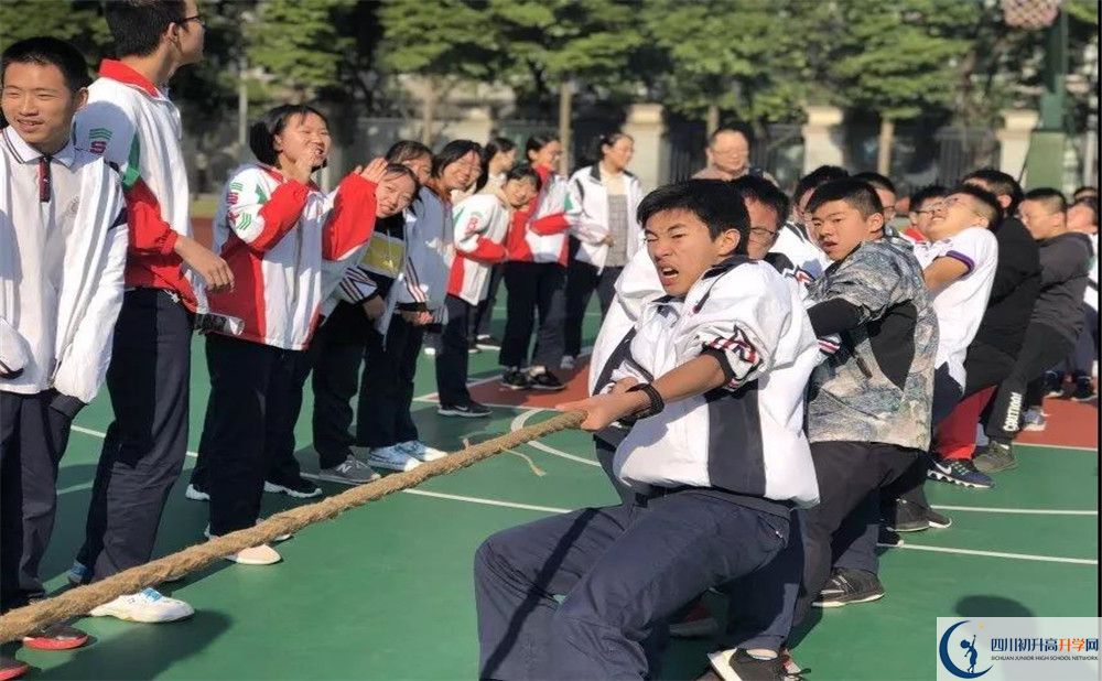 成都樹(shù)德中學(xué)面向全國(guó)招生嗎？