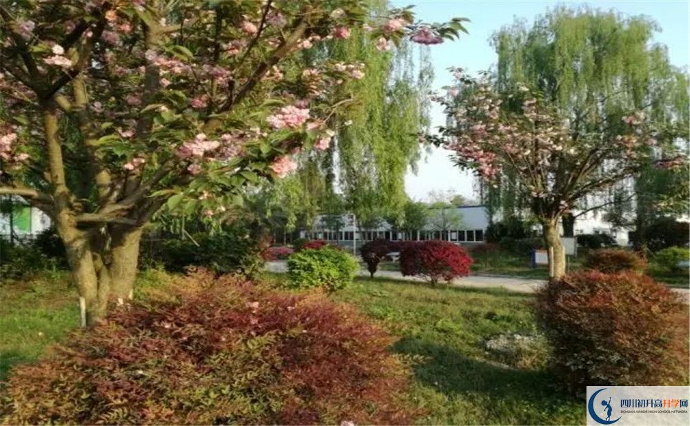 成都樹(shù)德中學(xué)光華校區(qū)實(shí)驗(yàn)班學(xué)費(fèi)貴嗎？
