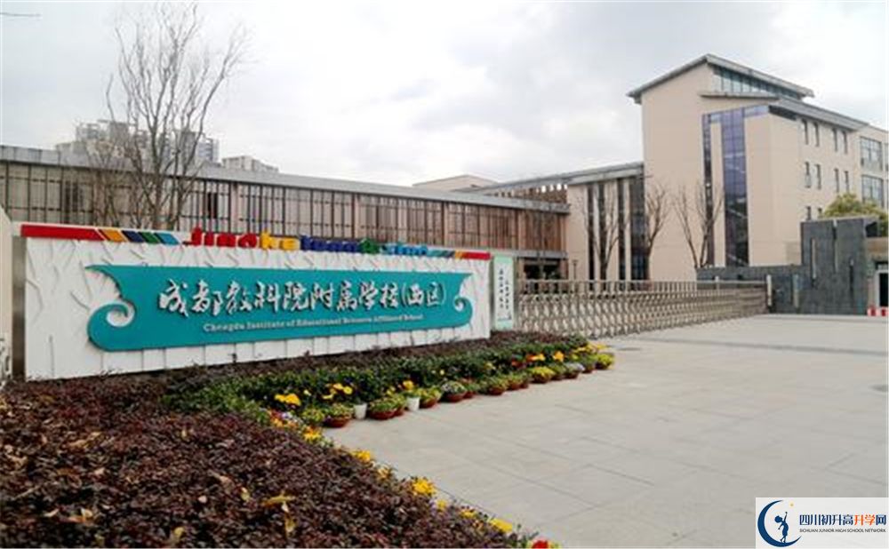 成都教科院附屬學校2020年高考人數(shù)是多少？