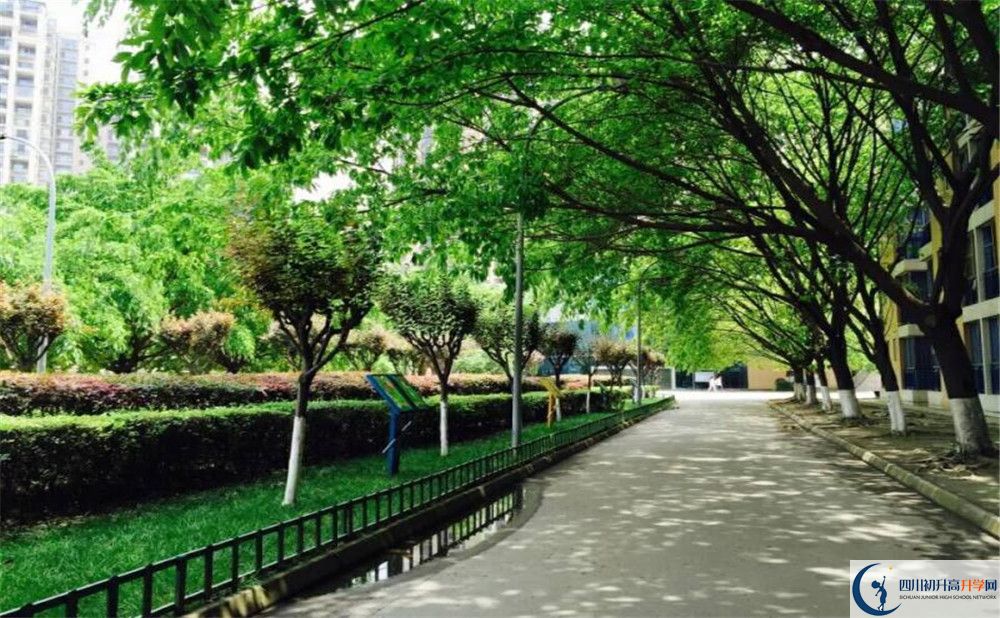 成都七中實(shí)驗(yàn)學(xué)校2020年開(kāi)學(xué)時(shí)間安排是怎樣的？