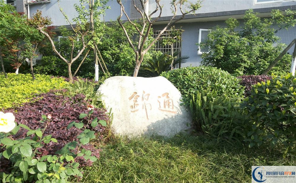 2020年通錦中學(xué)自主招生考試時(shí)間是否有調(diào)整？