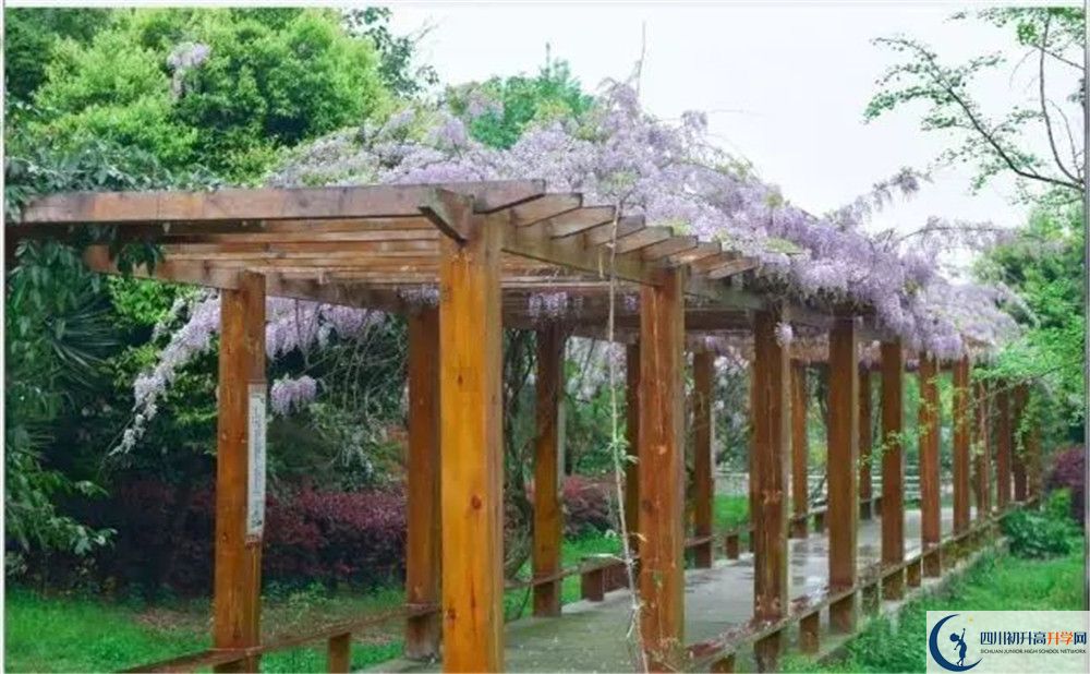 廣安花橋中學(xué)高三診斷考試時(shí)間怎么安排？