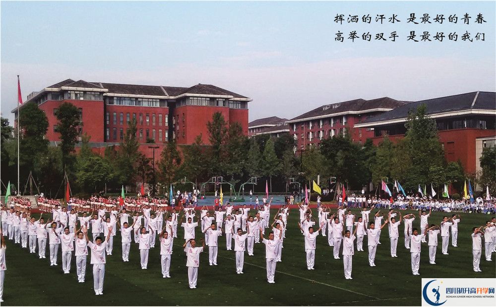 成都七中高新校區(qū)2020年招生范圍有多大？