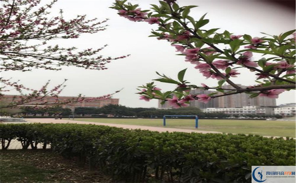 2020年樹德博瑞實驗學校怎么樣？