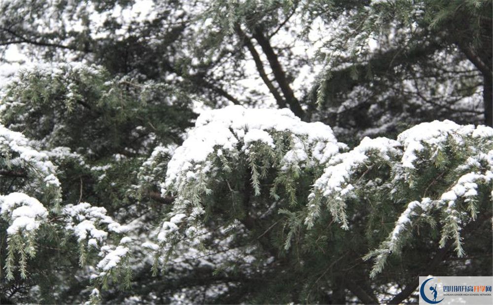 樹德博瑞實(shí)驗(yàn)學(xué)校電話號碼是多少？