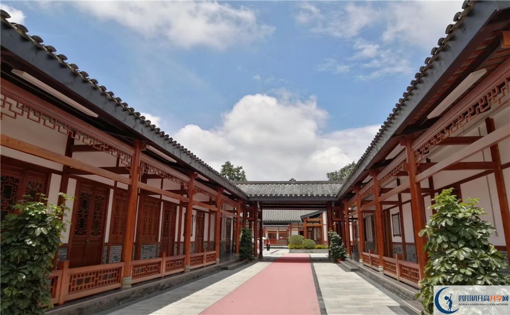 成都綿實(shí)外2020年怎么樣？