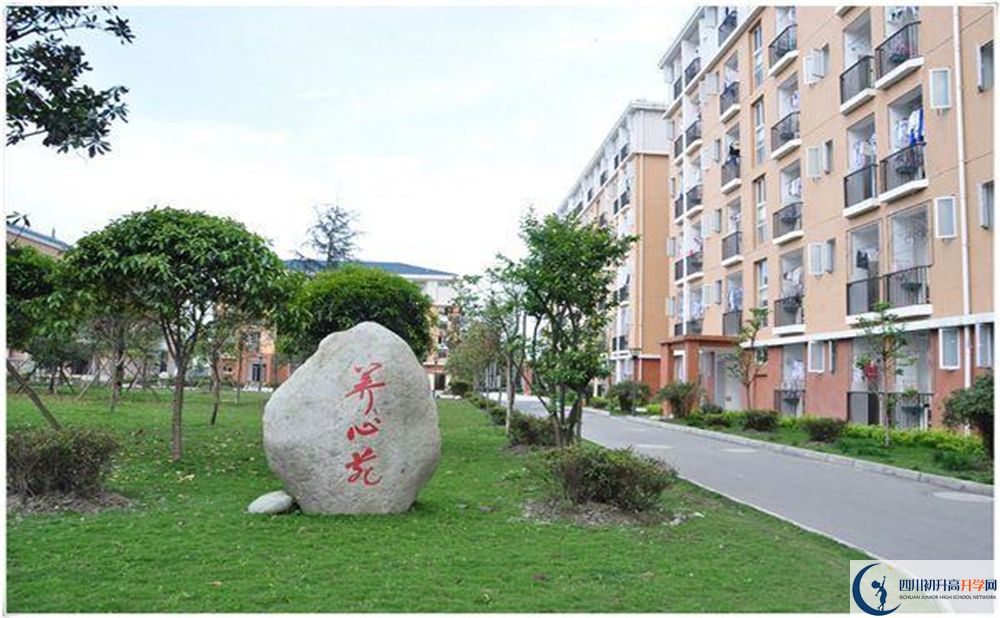 八一聚源高級中學2020年怎么樣？