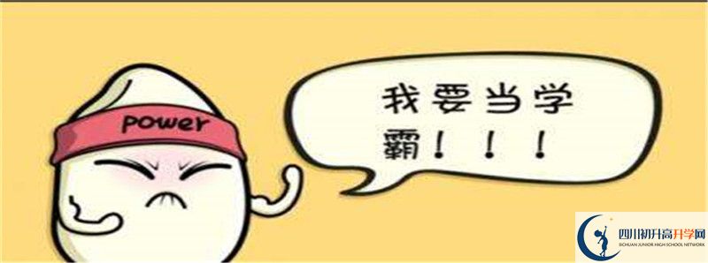 成都實(shí)驗(yàn)外國語學(xué)校（西區(qū)）升學(xué)率怎么樣?